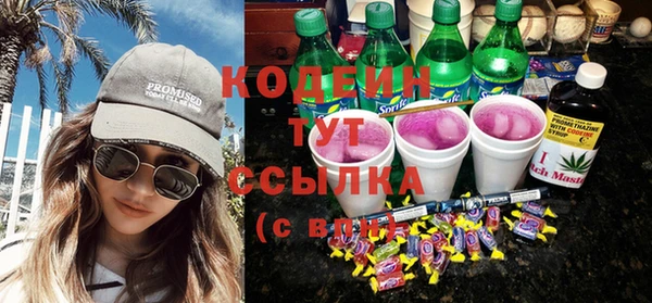 индика Козловка