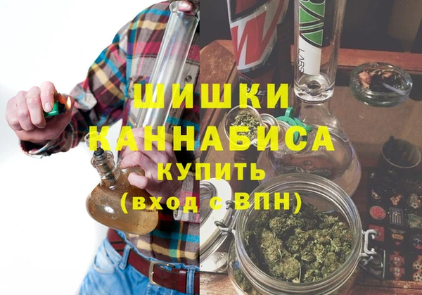 индика Козловка