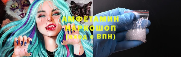 индика Козловка