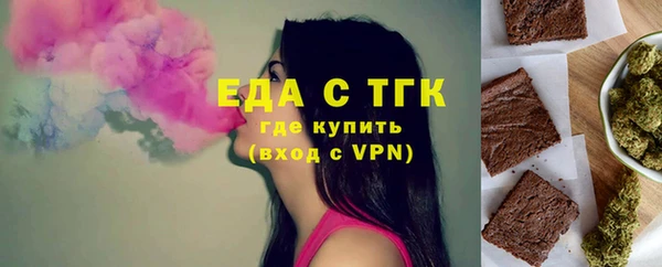 индика Козловка