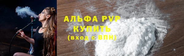 индика Козловка