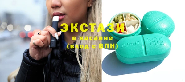 индика Козловка