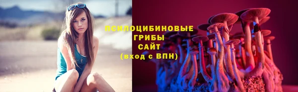 индика Козловка