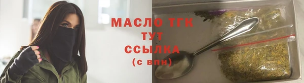 индика Козловка