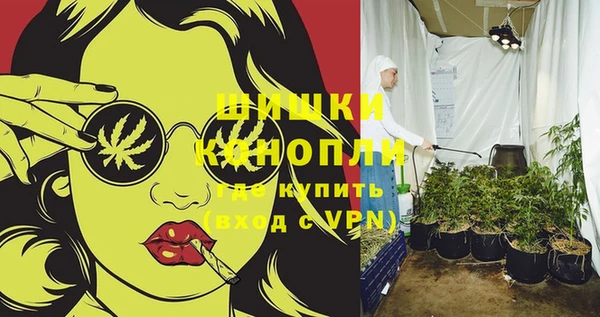 индика Козловка