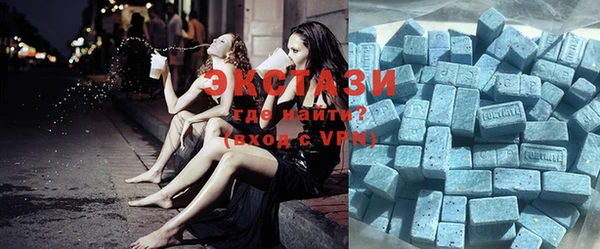 индика Козловка
