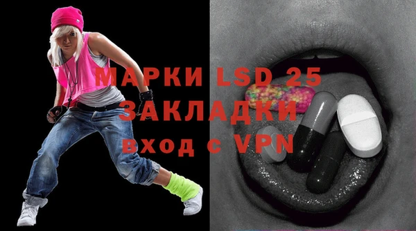 индика Козловка