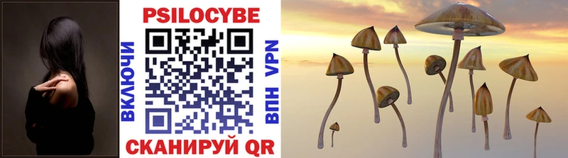 Купить закладки  Новомичуринск  Галлюциногенные грибы Psilocybine cubensis 